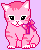 cute pink kitten