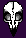 bird skull