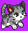 kitten