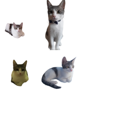 Sprite #256746