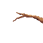 Sprite #257847