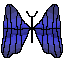 butter fly