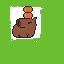 capivara