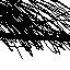 aleix