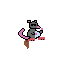 rato6