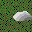 Sprite #36865