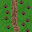 Sprite #36957