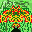 Sprite #37104