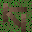Sprite #37775