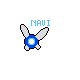 Navi