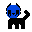 Eyeless cat kitty