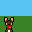 tiny puppy