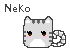 for my lost cat...