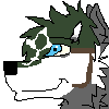 Wolf Link
