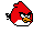 angry birds