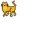 Orange Cat