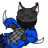 Ninja Cat - Blue