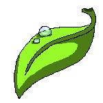 Sprite #54774