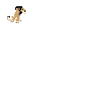 Sprite #57529