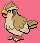 Pidgey