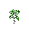 Birch Tree