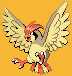Pidgeotto