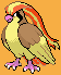 Pidgeot