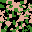 Sprite #66174