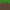 Sprite #67982