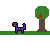 apple field