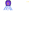 Squid