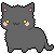 Kitty