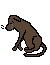 Crying Dog