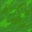 Sprite #72242