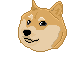 Doge