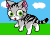 kitty