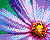 Sprite #74705