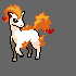 Ponyta Pokemon