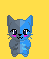 Cat #7