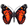 Sprite #93437