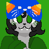 nepeta
